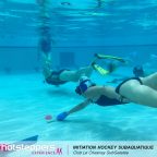 Hotsteppers Experience club le chesnay subgalatee