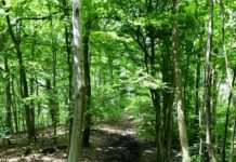 passion fartlek edito hotsteppers du dimanche soir